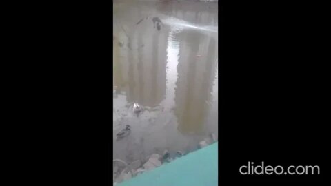 n o parque diversao completo