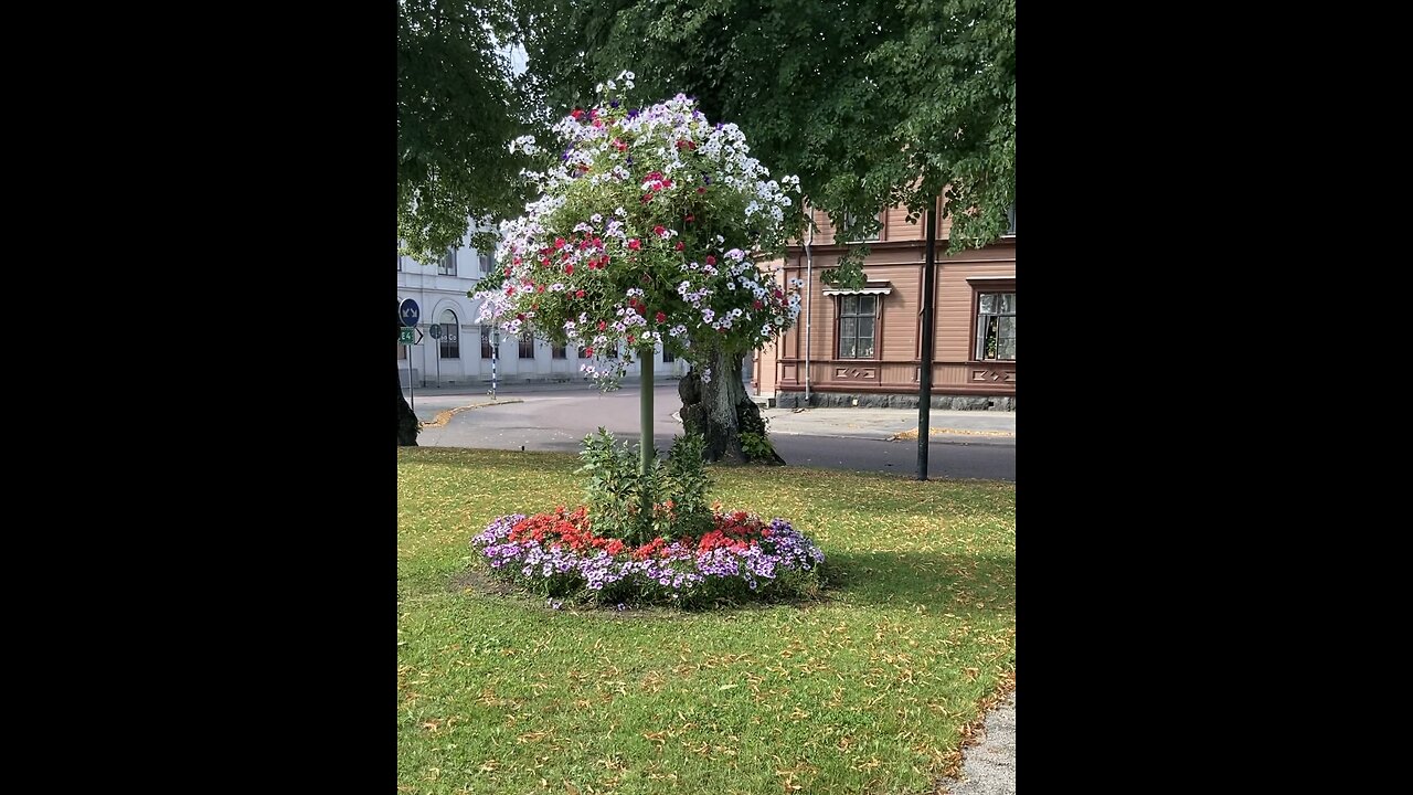 VISITING SWEDISH TOWN💛🇸🇪🍃🌼⛲️🌹🏢🌸🍃🏨🌲🌤️📸MOST BEAUTIFUL HISTORIC PARK🇸🇪🌳💒🌳🌷🦋💫