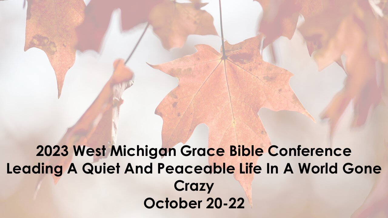 8) The Quiet & Peaceable Life In a World Gone Crazy (David Reid)