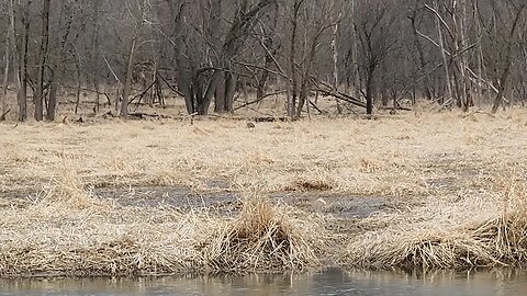 Carls woods with @bassboys looking for a crane, found it.