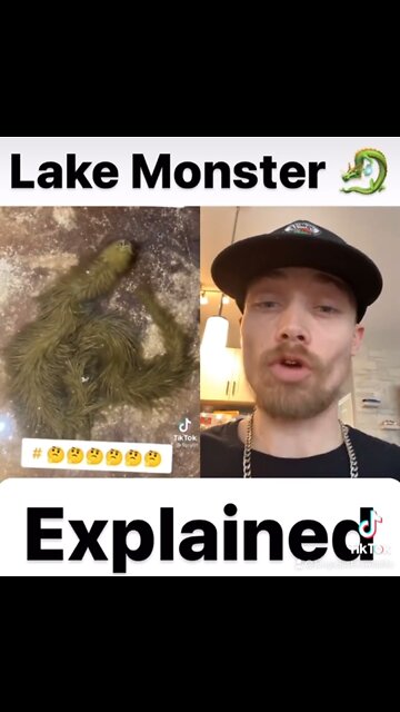 Lake Monster Explained!!!