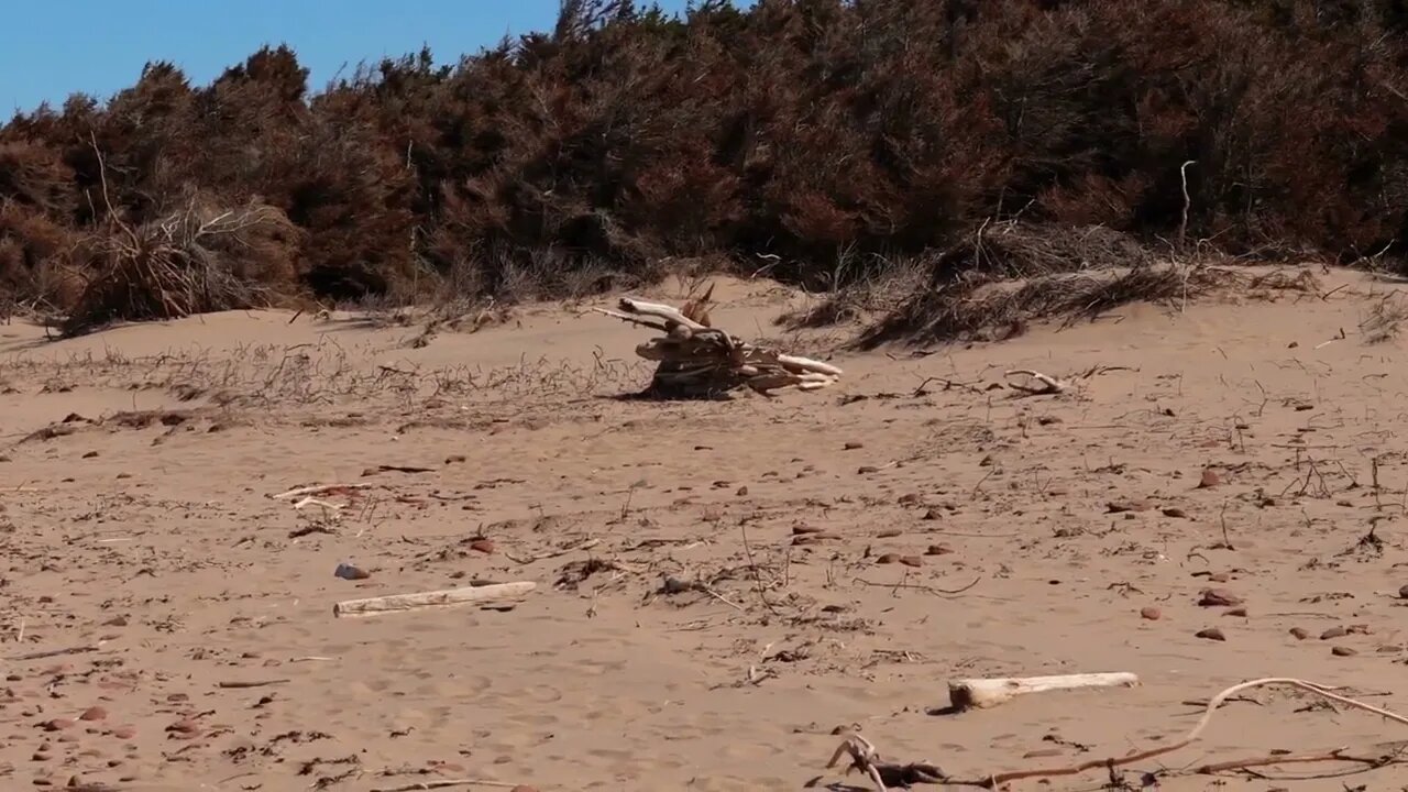 Brackley Beach After Hurricane Fiona 2023