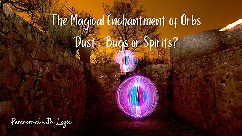 The Magical Enchantment of Orbs: Dust, Bugs or Spirits?.