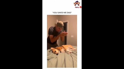 🐾🤣 Animal Antics: The Funniest Pets on the Planet! 😆 Part 8