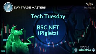 Tech Tuesday - BSC NFT Pigletz