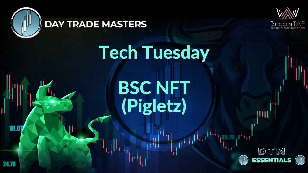 Tech Tuesday - BSC NFT Pigletz