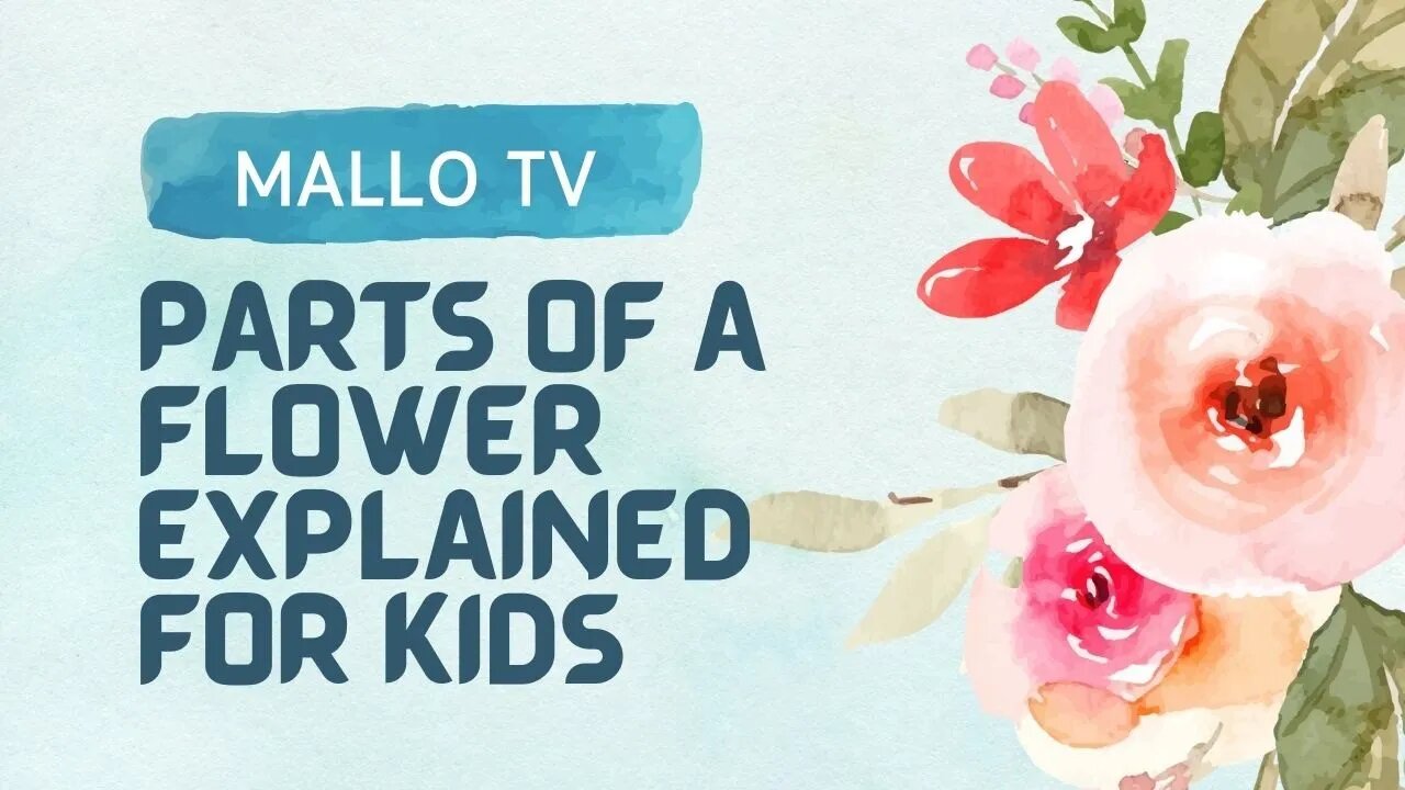 Discovering the Secrets: Parts of a Flower Explained for Kids