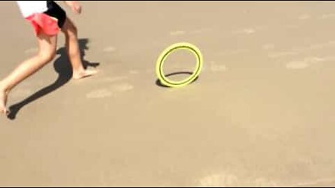 Flying disk has a life of its own