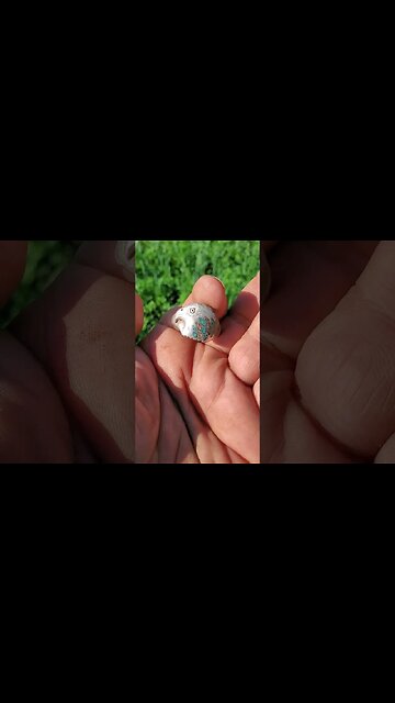 Silver ring #metaldetecting #buttons #coin #trending #silver #civilwar #battlefield #relic #treasure