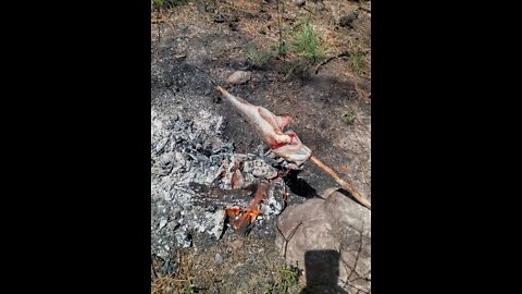 A day of fish and cook.