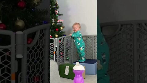 Funny Baby Smiles When He Gets Caught Playing With The Christmas Tree