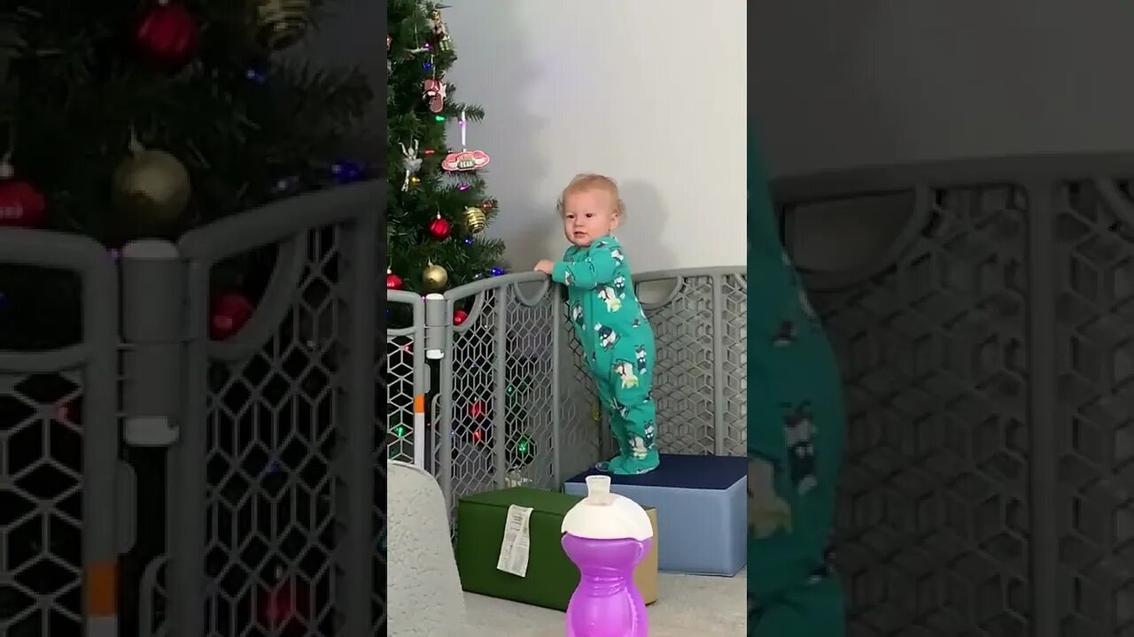 Funny Baby Smiles When He Gets Caught Playing With The Christmas Tree