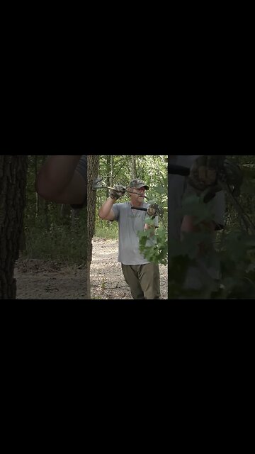 Stack the odds in your favor this season!🦌 #deer #deerhunting #hunting #deermanagement