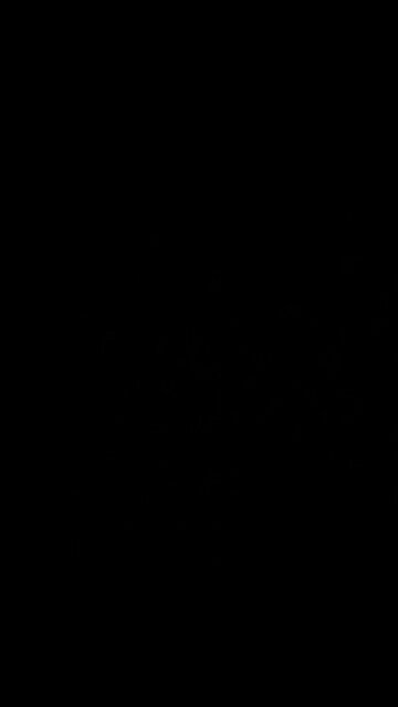 Wars and rumors of wars