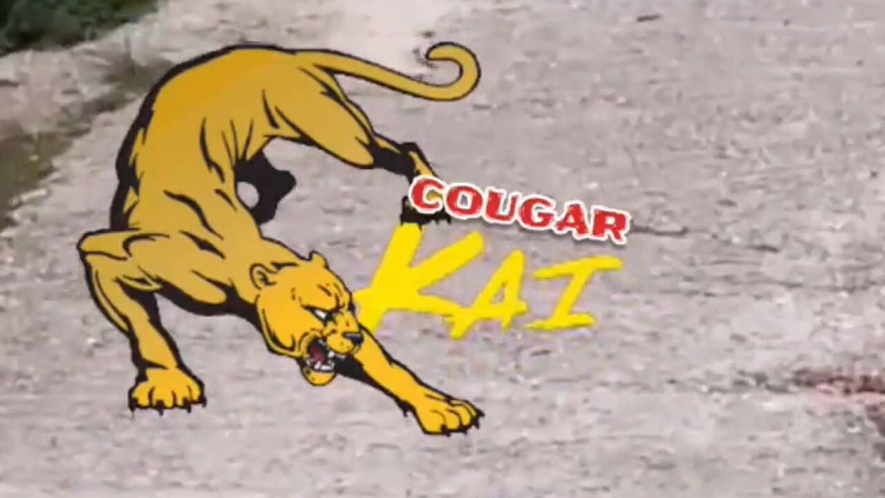 Cougar Kai