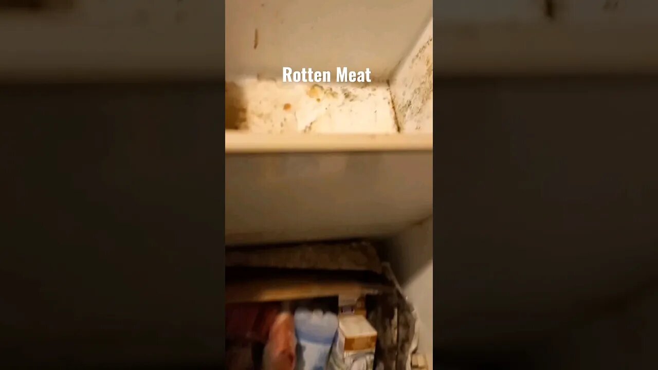 Cleaning out a rotten meat deepfreeze. when I have covid sucks. #rottenmeat #shorts