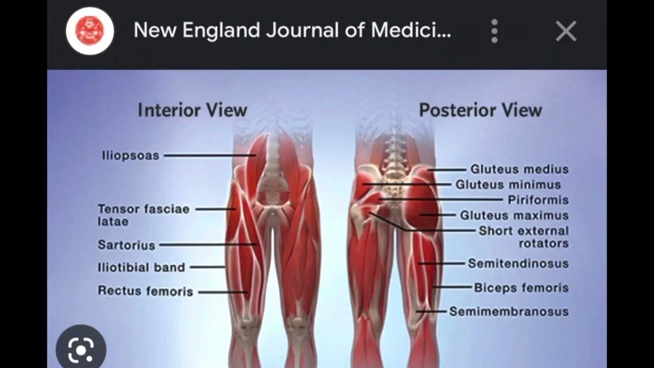 Hip Mobility Challenge step by step