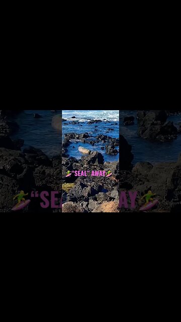 “SEAL” AWAY TO HAWAI’I