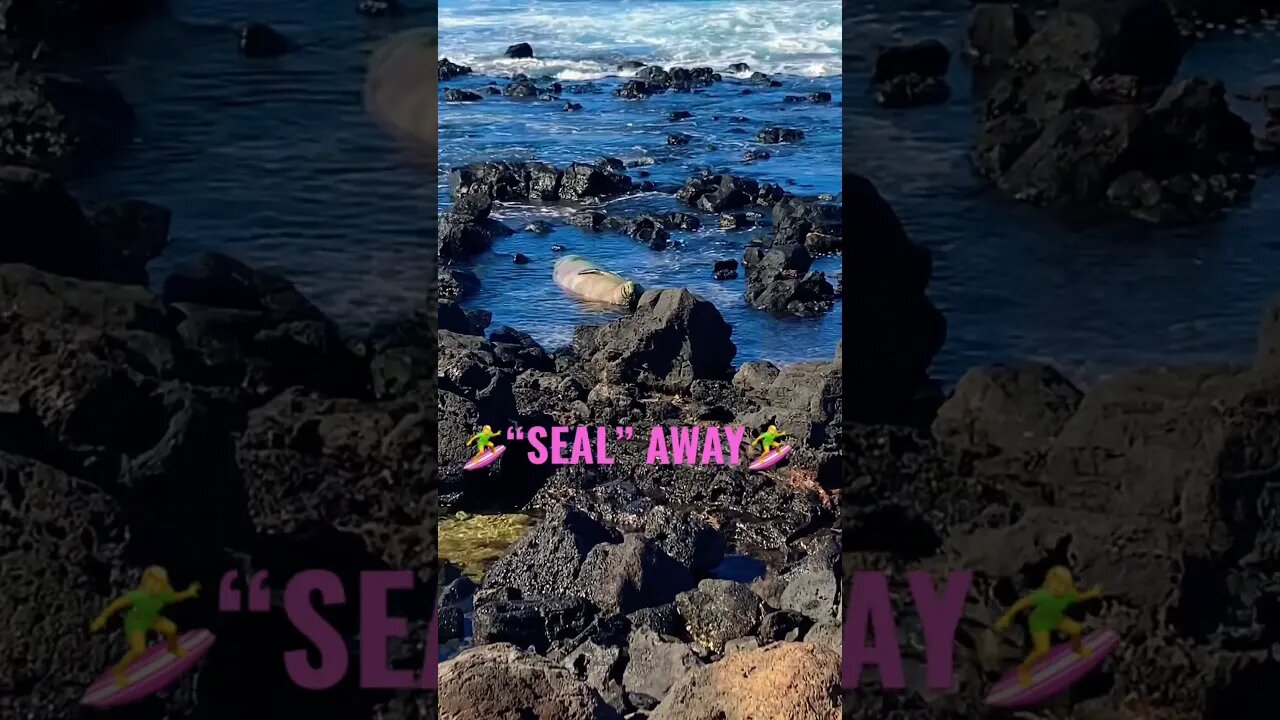 “SEAL” AWAY TO HAWAI’I