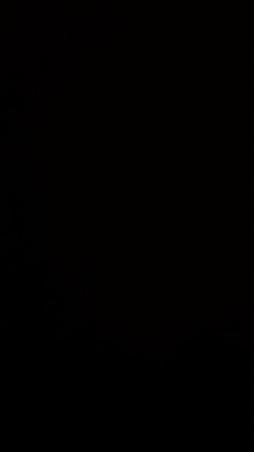 White House correspondence dinner