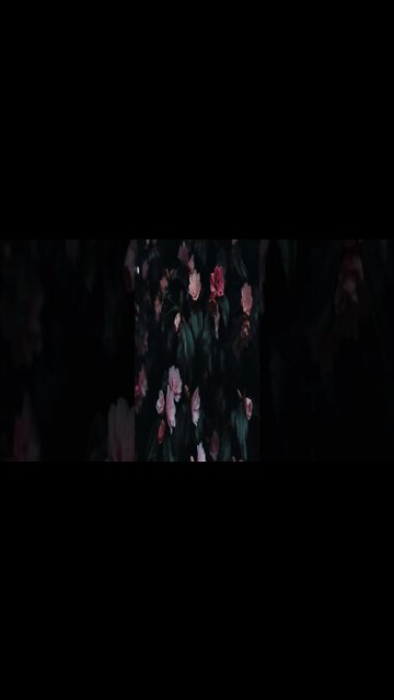 music - FLK Instrumental KC5 | #shorts #shortvideo #shortsvideo #music #calm #relaxsation