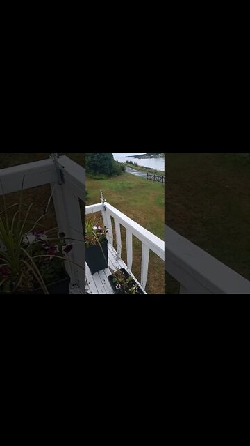 Calm day on the ocean, relax with a brew. #relax#waterfront #ocean #shorts