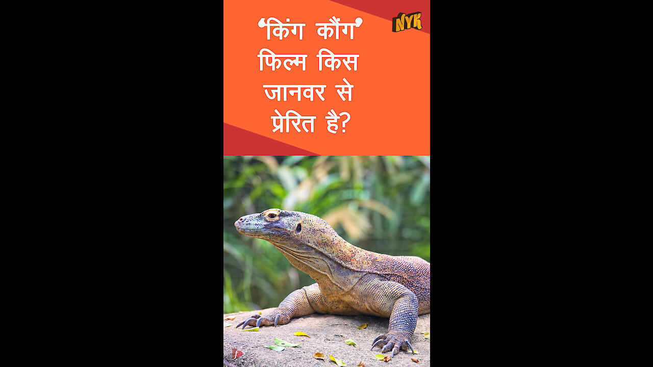 कोमोडो ड्रेगन के बारे मे आप क्या जानते है ? *