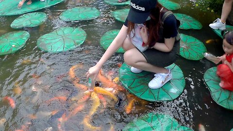 The pretty girl feeds the fish with a milk bottle