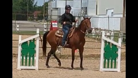 Hazel on JJ - Trail Class - Lenawee County Fair 23 July 2024