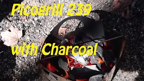 Using the Picogril 239 with Charcoal