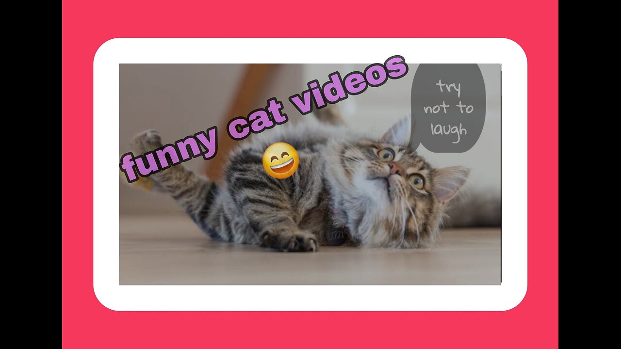 😆😆_Funny_Cat_Videos😆😆🤣🤣🤣🤣🤣