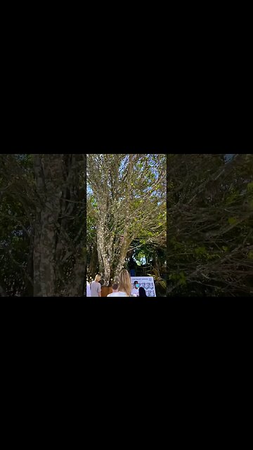Under the bodhi tree at the Big Buddha, Phuket 🥰