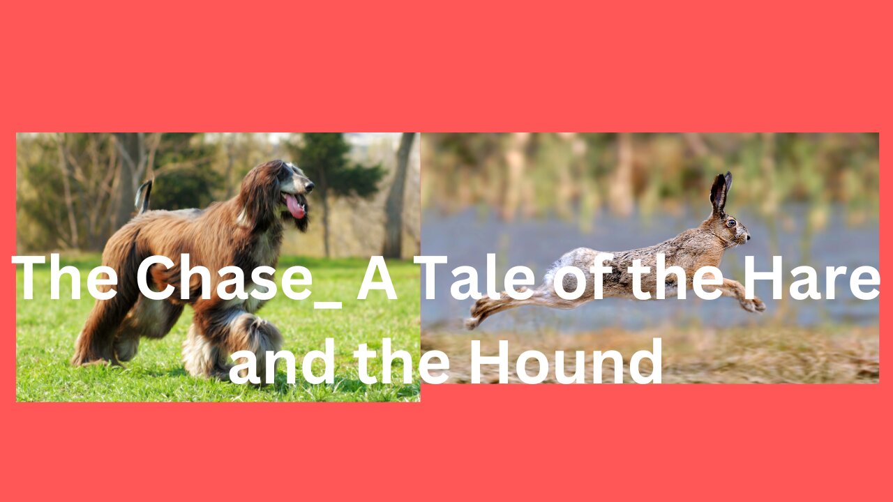 The Chase_ A Tale of the Hare and the Hound