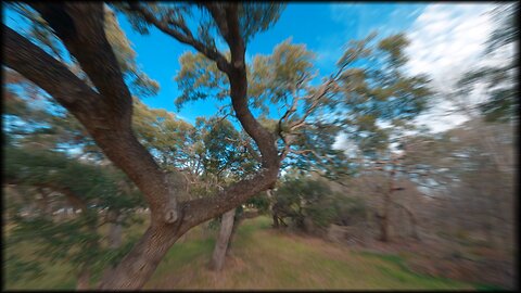 Austin Winter Cinematic FPV