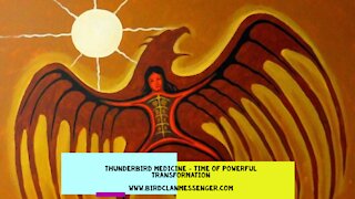 Thunderbird Medicine - Welcome to the Great Awakening, the Path of the 8th Fire