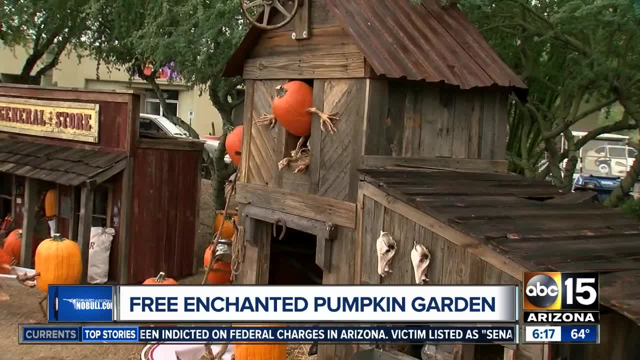 Free 'Enchanted Pumpkin Garden' in Carefree