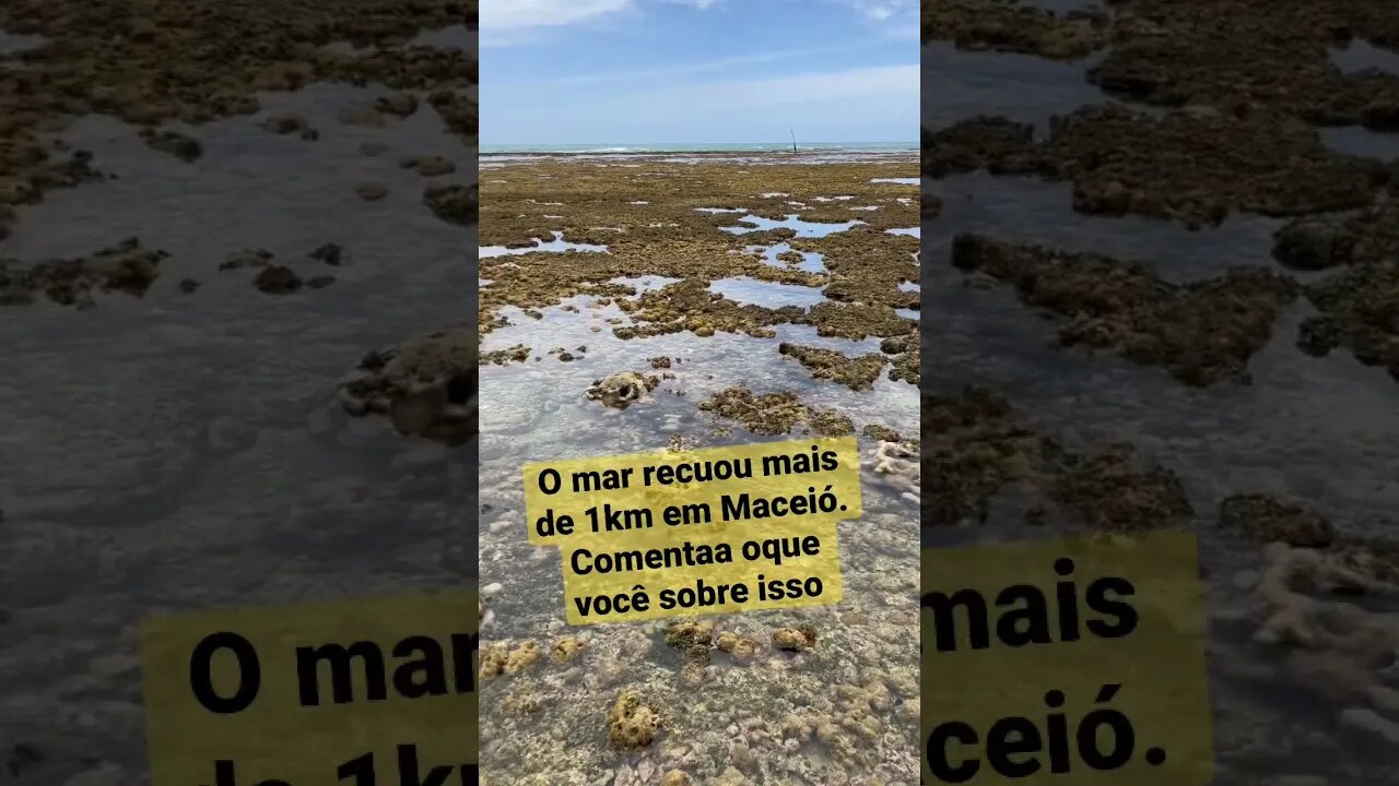 Mar Recuou mais de 1km🫣. #mar #viral #praia #mundo #nature