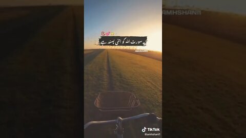 Find 'islamic video status' on TikTok TikTok Search 6