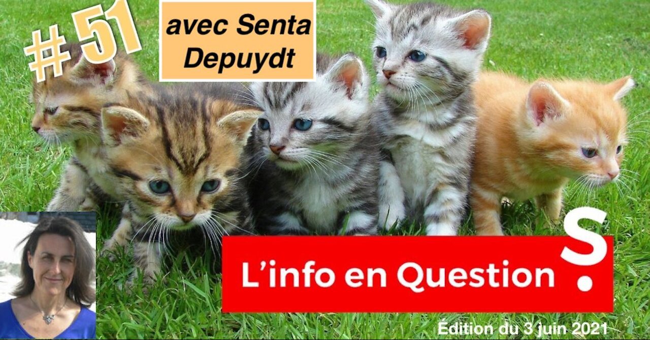 INFO en QuestionS #51 – LIVE avec Senta Depuydt – Jeudi 3 juin 2021