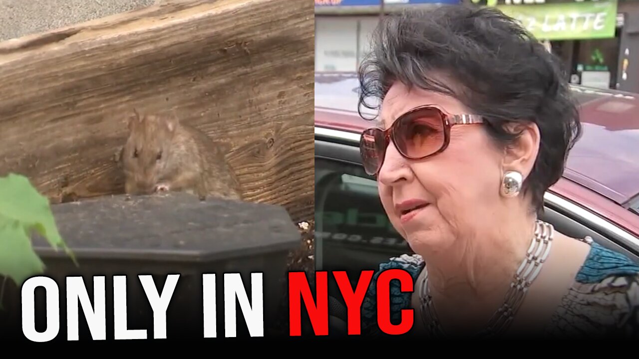 Old lady FINED $600 for reporting rat sighting to the NYC rat hotline...wait, WHAT?!