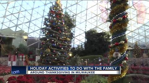 Holiday activities to do with the family