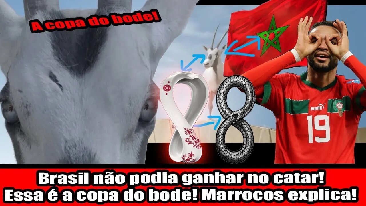 BRASIL NÃO PODIA GANHAR NO CATAR! ESSA É A COPA DO BODE! MARROCOS EXPLICA!