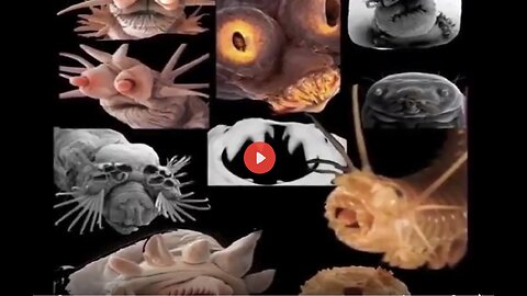 The Demonic Parasite Presentation-Biblical links