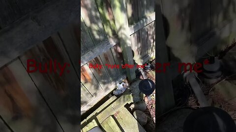 #stopbullying pt 3