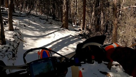 Riding the snow line