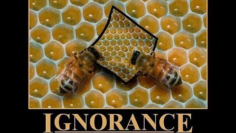 Manhood Explained #241: why your misery might be the result of your ignorance?