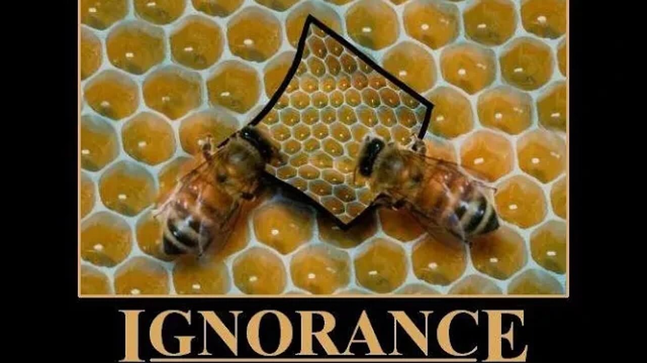 Manhood Explained #241: why your misery might be the result of your ignorance?