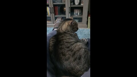 Tootsie