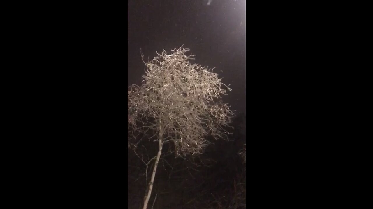 Weather
