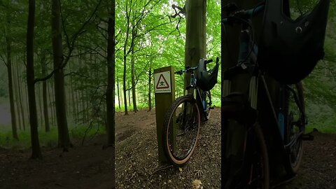 Extreme Feature: a few minutes, after filming this clip, I was attacked by a 🐿️ #deliveryrider